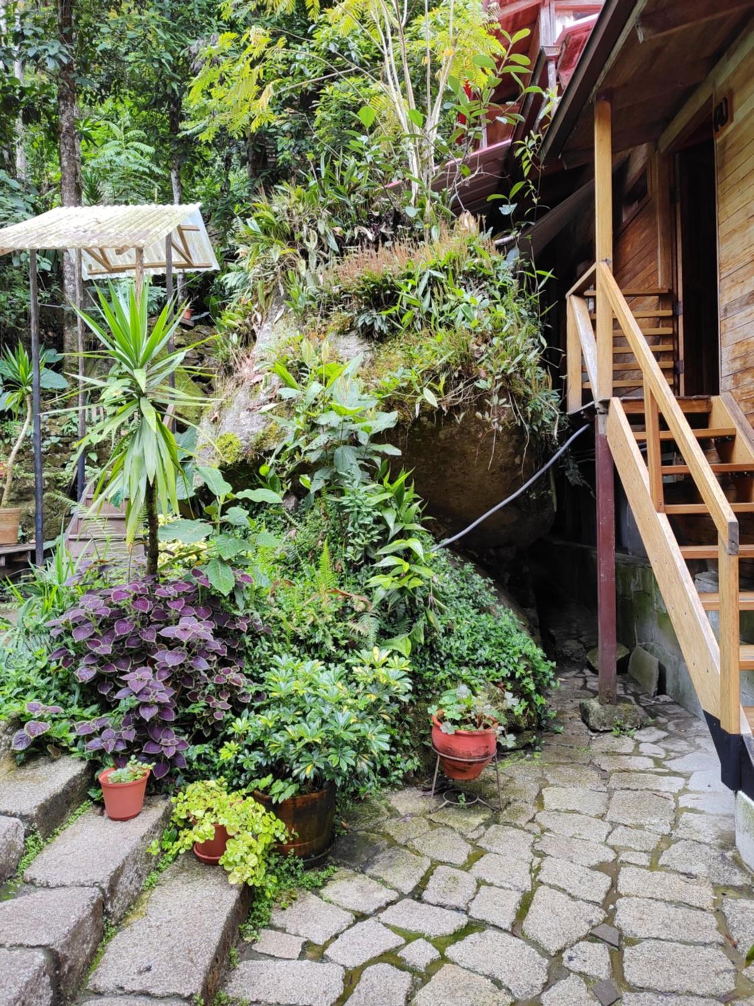Tree House Lodge Μάτσου Πίτσου Εξωτερικό φωτογραφία
